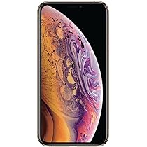 Apple iPhone Xs Fully Unlocked 256GB Gold (Renewed) : Amazon.ca