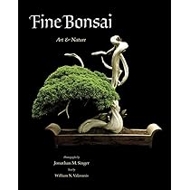 Bonsai: A Patient Art 洋書 Amazon.com: Bonsai: A Patient Art: 9780300190908: Nakamura