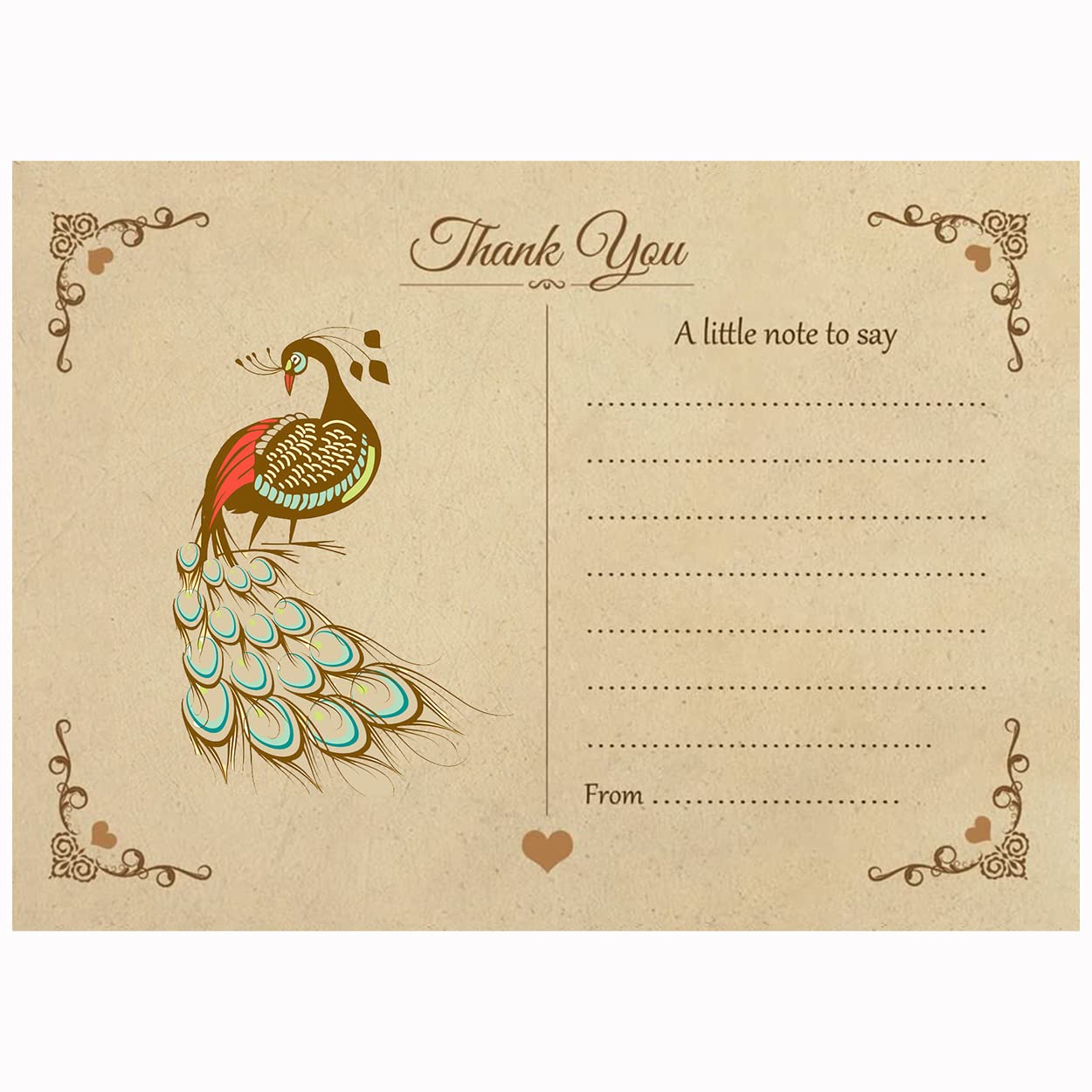 Vintage Peacock Thank You Note Cards with Brown Kraft Envelopes - Pack of 15 - by Artstore