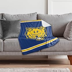 Fort Valley State University Primary Logo Stripes