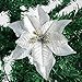 DERVONUNS Poinsettia Christmas Decorations Glitter Artificial Poinsettia Flowers for Christmas Tree Decorations(12Pack)(Silvery)