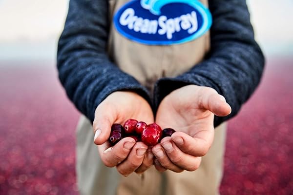 OCEAN SPRAY CRANBERRY POMEGRANATE JUICE, 101.4-OUNCE