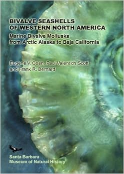 Bivalve Seashells Of Western North America Santa Barbara