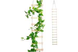 Plant Ladder, Tall 6-Foot Wooden 15-Rung Natural Wood Trellis for Climbing Plants, Indoor Outdoor Rust-Proof Plant Stand for 