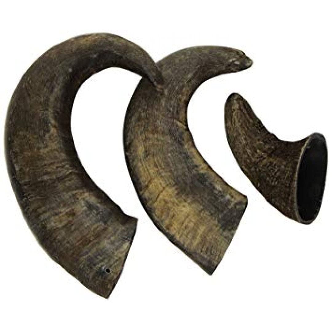 Sniffers Buffalo Horns 3pk, clear