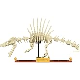Spinosaurus Dinosaur Fossil Building Set &ndash; Brick-Built Skeleton Display Model with Signature Spine Sail &amp; Museum Base, Compatible Building Blocks for Kids &amp; Adults