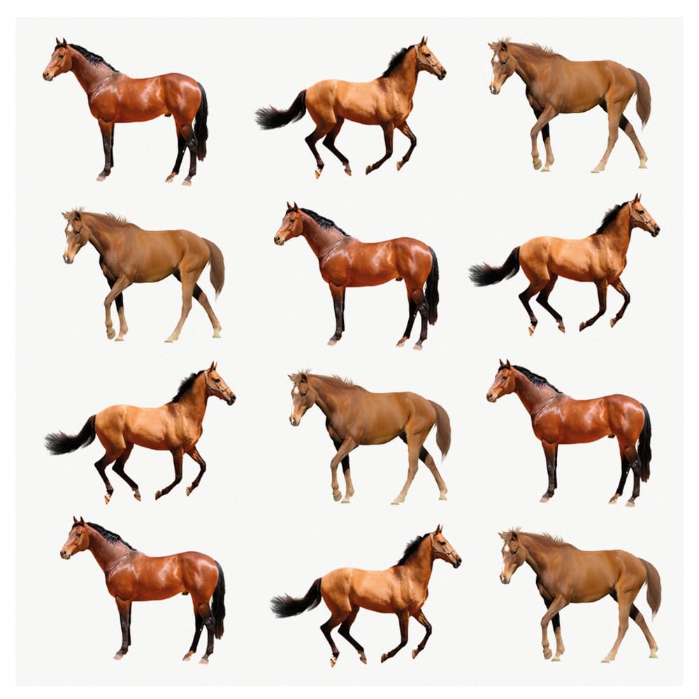 AK Giftshop PRE-CUT Farm Animals Horse Mix - Edible Cupcake Toppers/Cake Decorations (Pack of 12)