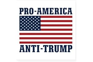 STICKER TIGER Pro-America Anti-Trump Sticker American Flag Bumper Sticker Second Amendment Decal 5" Square