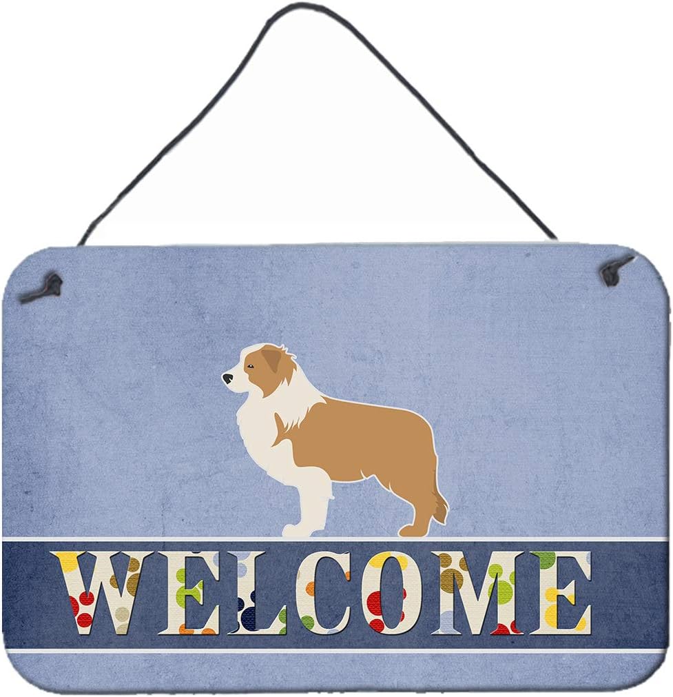 Caroline's Treasures Red Border Collie Welcome Metal Print, Multicolor, 8 x 12