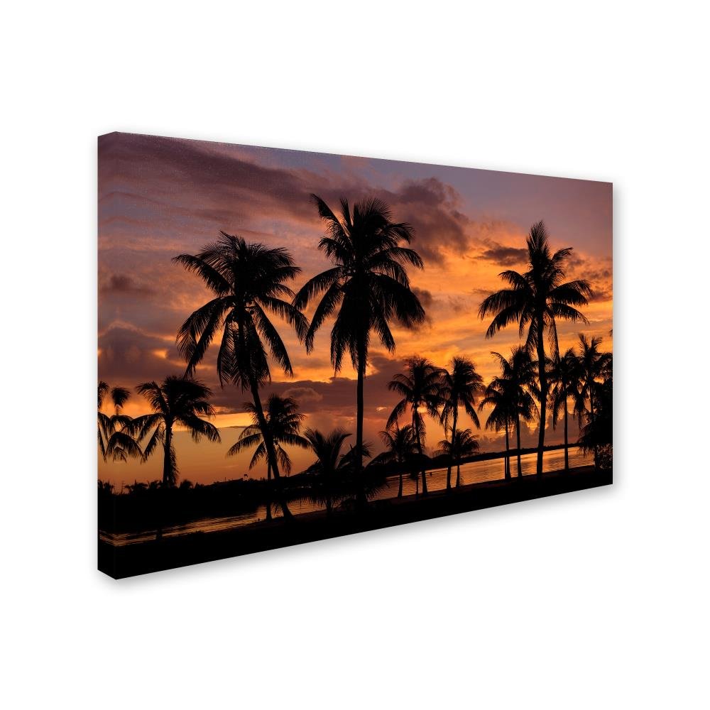 Trademark Marca Fine Art Marathon Clave Atardecer decoración de la ...