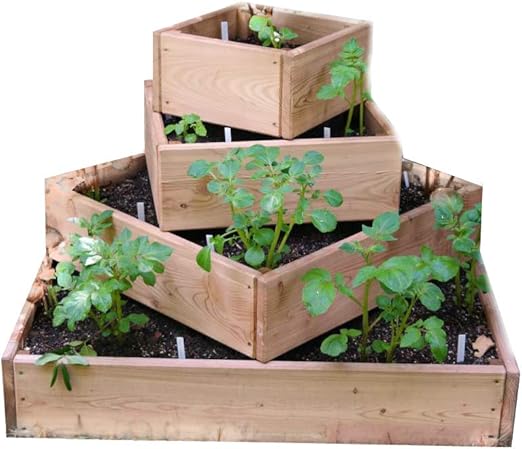 bio-garten - Jardinera Alta piramidal para Patatas, Hierbas y ...