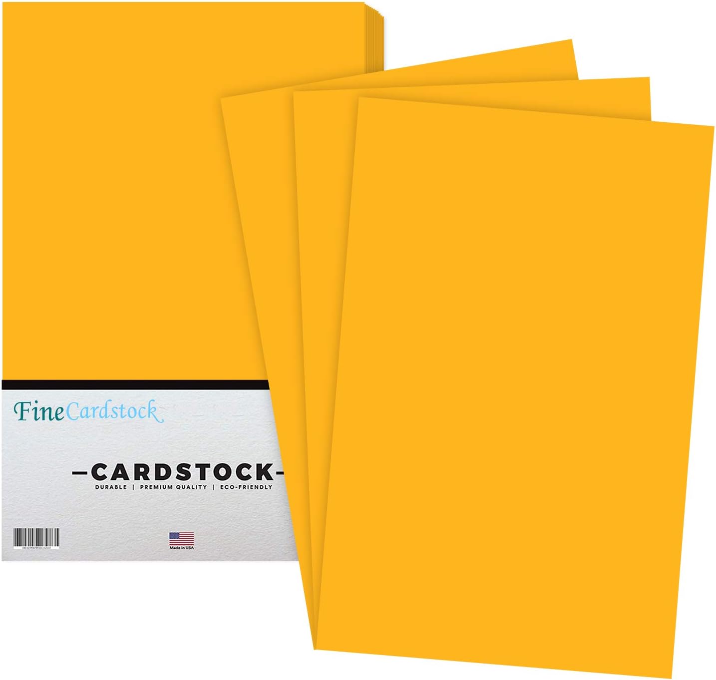 Premium Color Card Stock Paper | 50 Per Pack | Superior Thick 65-lb Cardstock, Perfect for School Supplies, Holiday Crafting, Arts and Crafts | Acid & Lignin Free | Eclipse Black | 11 x 17