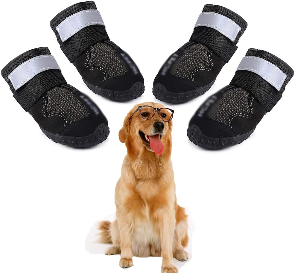 best shoes for small dogs