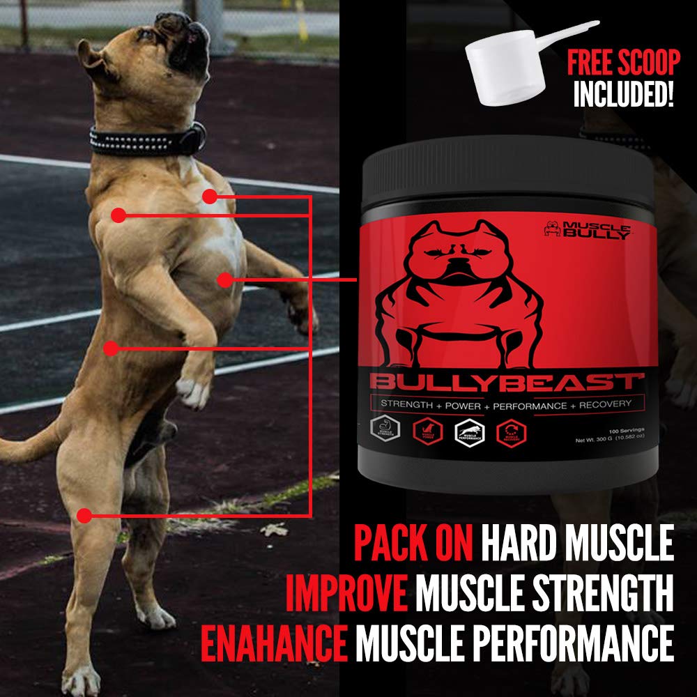 Bully Beast Creatine for Dogs Muscle Building Supplement Improves