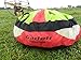 Gadek Single Wings Fast Stuff Sack for Paragliding Paramotor PPG Powered Paraglider(Size：S)