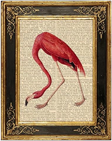 Dreamery Studio, American Flamingo Art Print on Upcycled Antique Book Page, John J Audubon 8x10.5