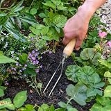 Burgon & Ball GTH/SRHS RHS Stainless Steel Weeding Fork view 2
