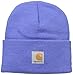 Carhartt Kids' Acrylic Watch Hat, Bright Blue (Youth), One Size