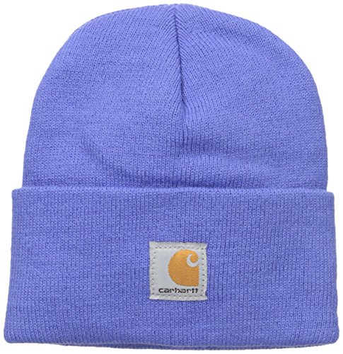 Carhartt Boys' Acrylic Watch Hat, Amparo Blue, Toddler