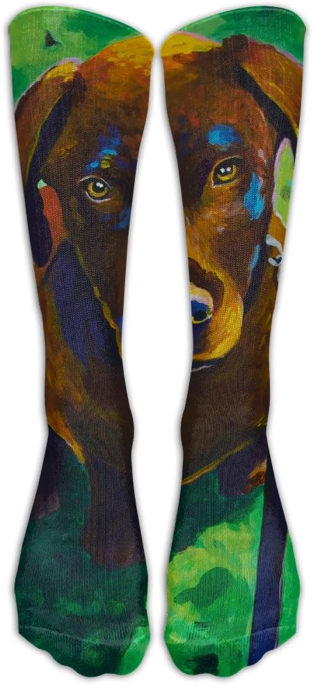 Chocolate Labrador Retriever Puppy Dog Painting Compression Socks For Mens & Womens Unisex Comfortable Stockings For Sports