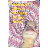 Welcome to My Crib Flag Hip Hop Sunglasses Dizzy Duck Funny Banner For Room Durable Man Cave Wall With Brass Grommets For College Dorm Room Decor (D7)