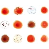 Scratch My Back And I'll Scratch Yours (Limited Edition Digi Pack)