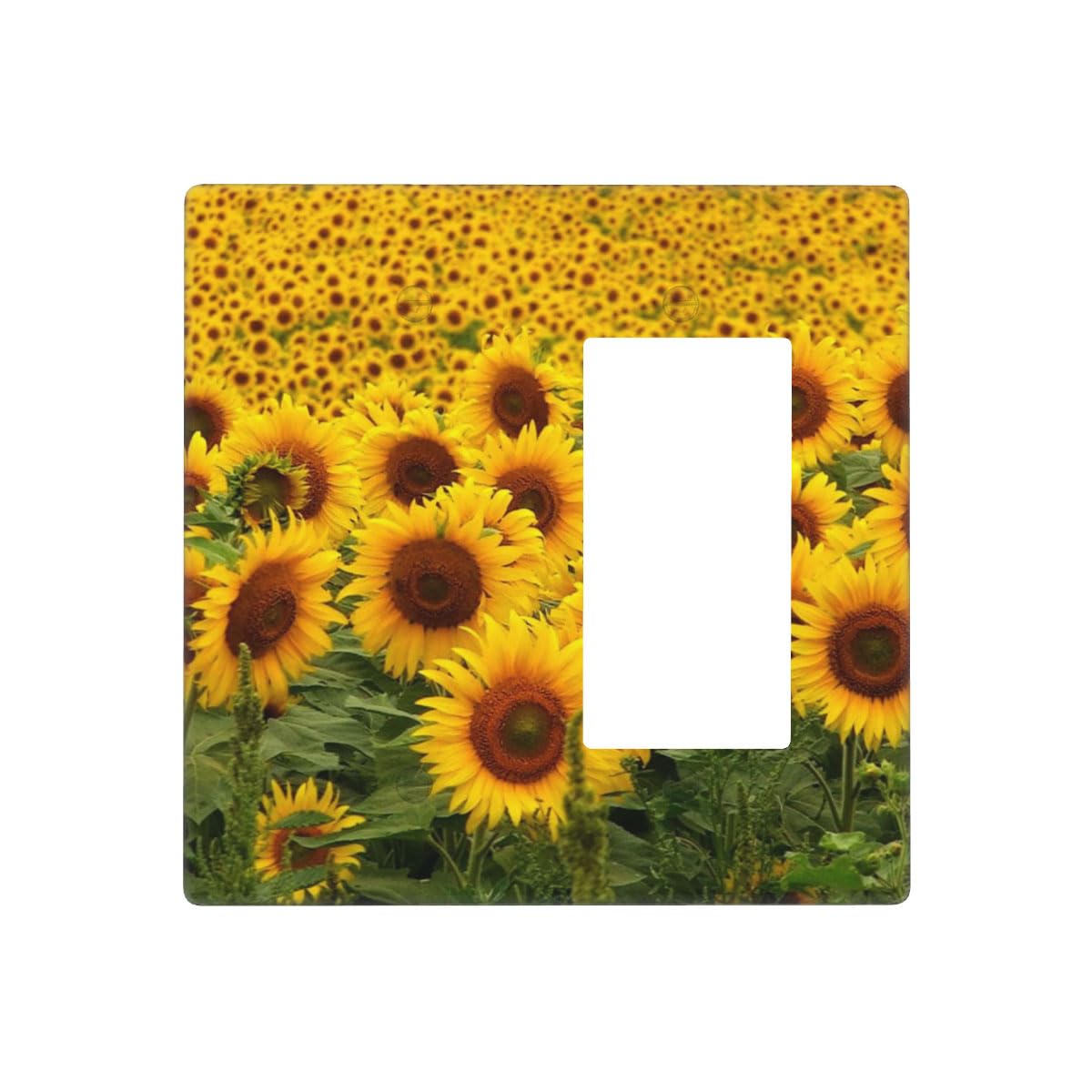 Pznen Light Switch Cover, Sunflower Sunflowers
