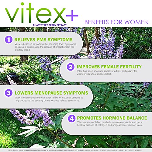 2 VH+Nutrition+Chasteberry+Supplement+Formula