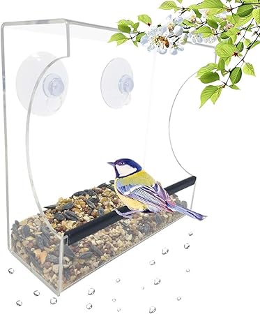 Amazon Com Gray Bunny Gb 6895 Clear Window Bird Feeder Compact