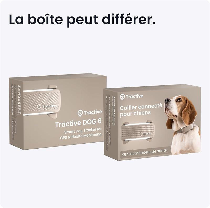 – Collier GPS pour Chien Connecté | Édition 2025 | Localisation GPS en Direct | Alertes Anti-Fugue et de Santé | Moniteur de Signes Vitaux | Leader du Marché (Marron)