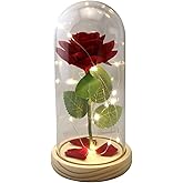 Eternal Red Rose in Glass Dome with LED Lights – Light Up Artificial Rose Décor – Romantic Gift for Women with Gift Box for Anniversary, Birthday, Valentine’s Day, or Holiday Season