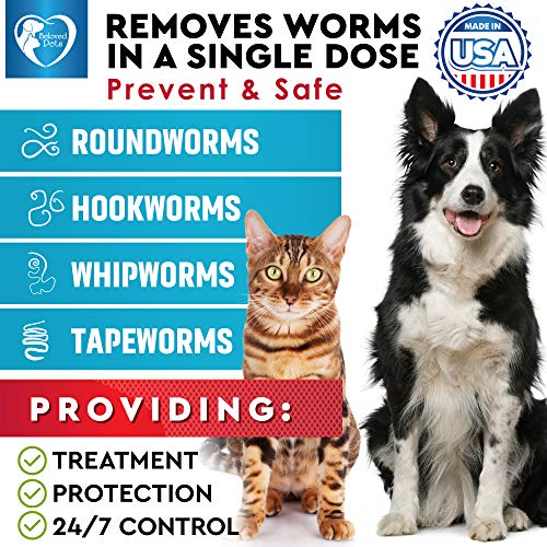 Beloved Pets Cat and Dog wormers Pricepulse