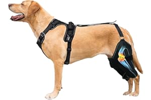 Dog Hip Brace | with Metal Stabilizers Breathable Wrap Harness,Pet Joint Stabilizing Support Brace - for Mobility Wound Care 