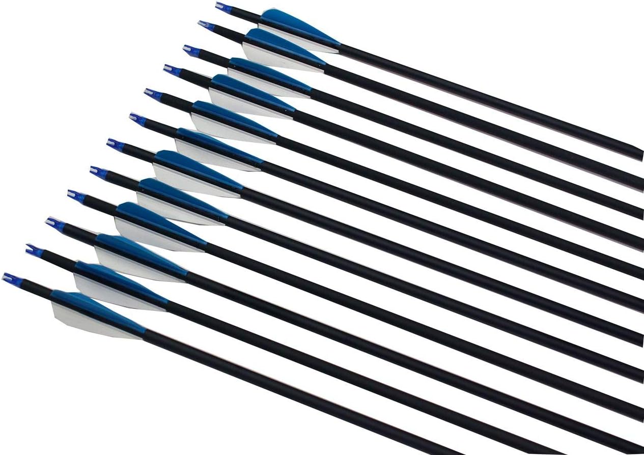 kaimei 30" Carbon Fiber Arrow White-Blue Replaceable Pointed Screw-in Recurve Compound Bow Practice Targeting Arrows (12 Pieces) : Sports & Outdoors