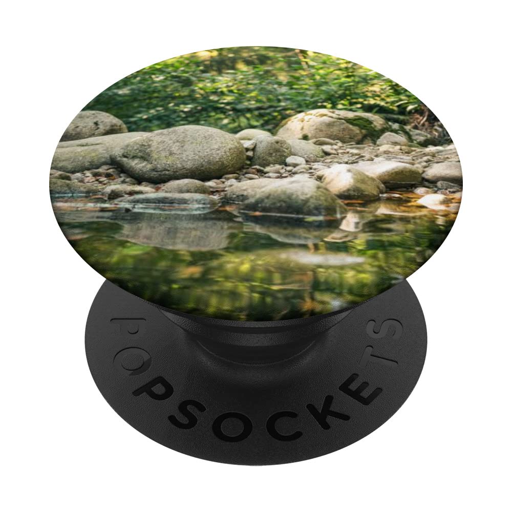 Pond Nature PopSockets Swappable PopGrip