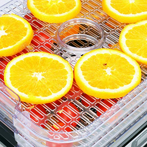 Electric Food Dehydrator Machine, Godmorn Multi-Tier Food Preserver with Digital Timer & Temperature Control from 95ºF to 158ºF for Beef Jerky, Dried Fruits, Vegetables & Nuts, 5 Stackable Drying Tray