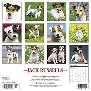 Just Jack Russells 2018 Calendar