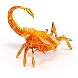 hexbug spider amazon