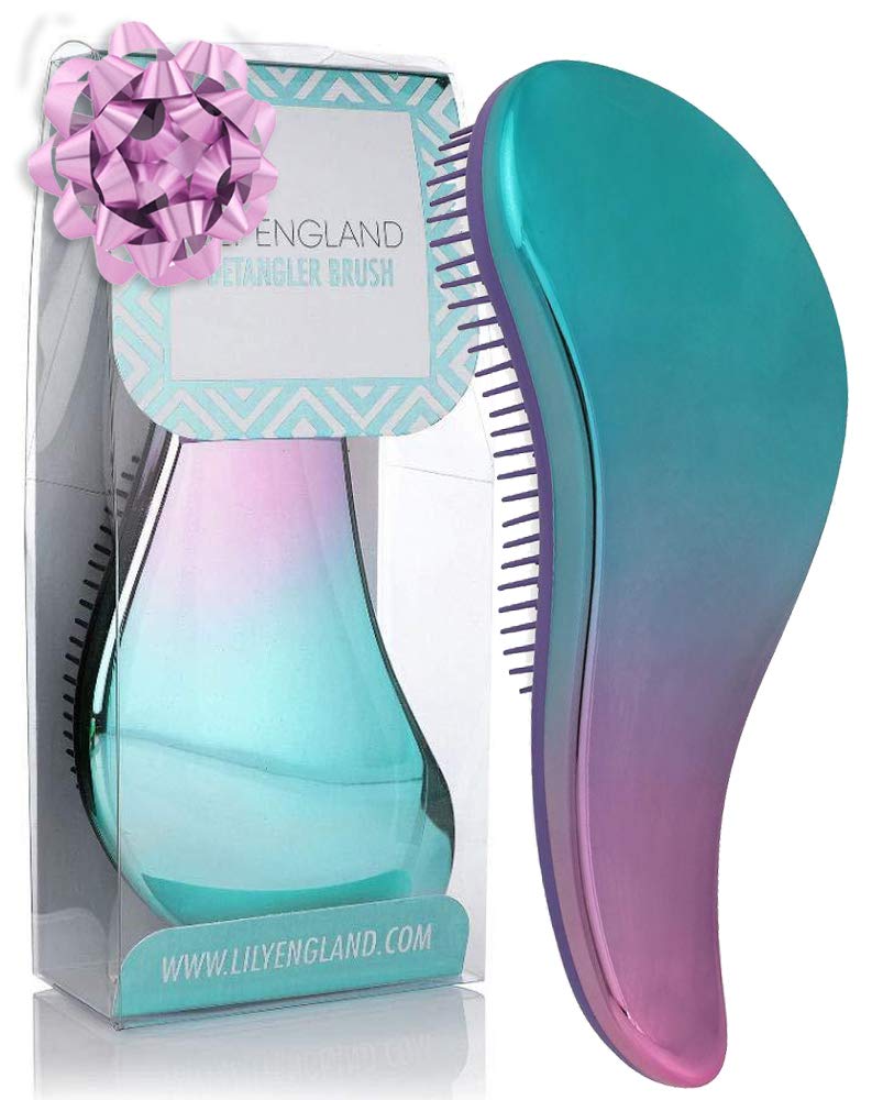 Detangling Hairbrush - Detangler Hair Brush for Women and Kids - Perfect for Wet/Dry/Fine/Thick Hair - Ombre