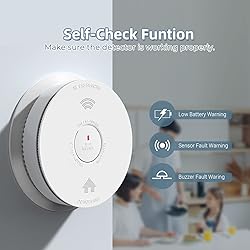 SITERWELL 2.4G WiFi Smoke Detector Carbon Monoxide