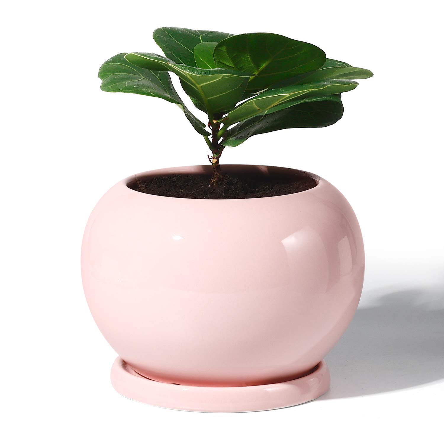 POTEY Planter Ceramic Plant Flower Pot 5 Inch Large Indoor Glazed