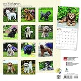 Image de Cockapoos 2018 12 x 12 Inch Monthly Square Wall Calendar, Animals Mixed Dog Breeds (Multilingual Edition)