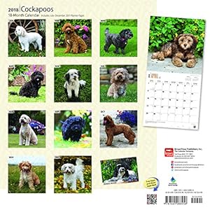 Cockapoos 2018 12 x 12 Inch Monthly Square Wall Calendar, Animals Mixed Dog Breeds (Multilingual Edition)