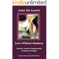Love Without Madness -- Amor Sin Locura: Cubist Love Poetry book cover