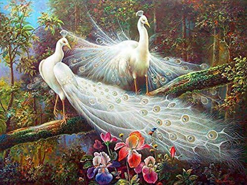 Anhalt DIY 5D Diamond Painting Adults'Paint-By-Number Kits DIY 5D Diamond Embroidery Painting Cross Stitch Craft Peacock Pattern Home and Office Decor Gift for Christmas Burthday Party 40x30cm
