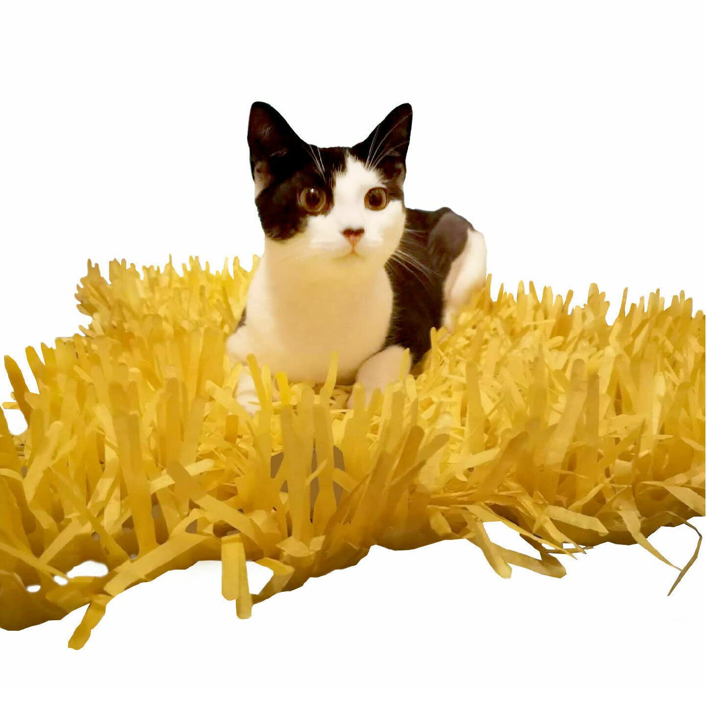 CATMAT. Tissue Paper Cat Mat. Yellow paper imitation grass play mat - fun for Indoor Cats and Kittens (pack of two)