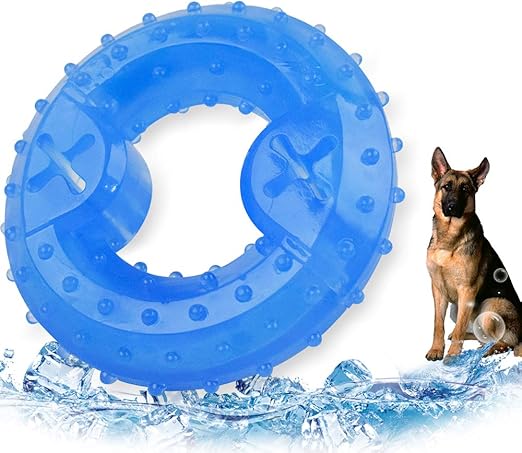 summer toys for dogs