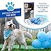 Cloudy Come CoN Dog Birthday Boy Bandana with Paw Print Party Cone Hat and 10 Balloons - Great Dog Birthday Outfit and Decoration Set - Perfect Dog or Puppy Birthday Gift