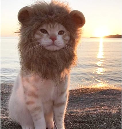 Perruque De Criniere De Lion Pour Chat Et Petit Chien Mignon Pour Animal Domestique Avec Oreilles Pour Les Vacances Photo Et Fetes Cospaly Amazon Ca Animalerie Perruque De Criniere De Lion Pour Chat Et Petit Chien Mignon Pour Animal Domestique Avec Oreilles Pour Les Vacances Photo Et Fetes Cospaly Amazon Ca Animalerie