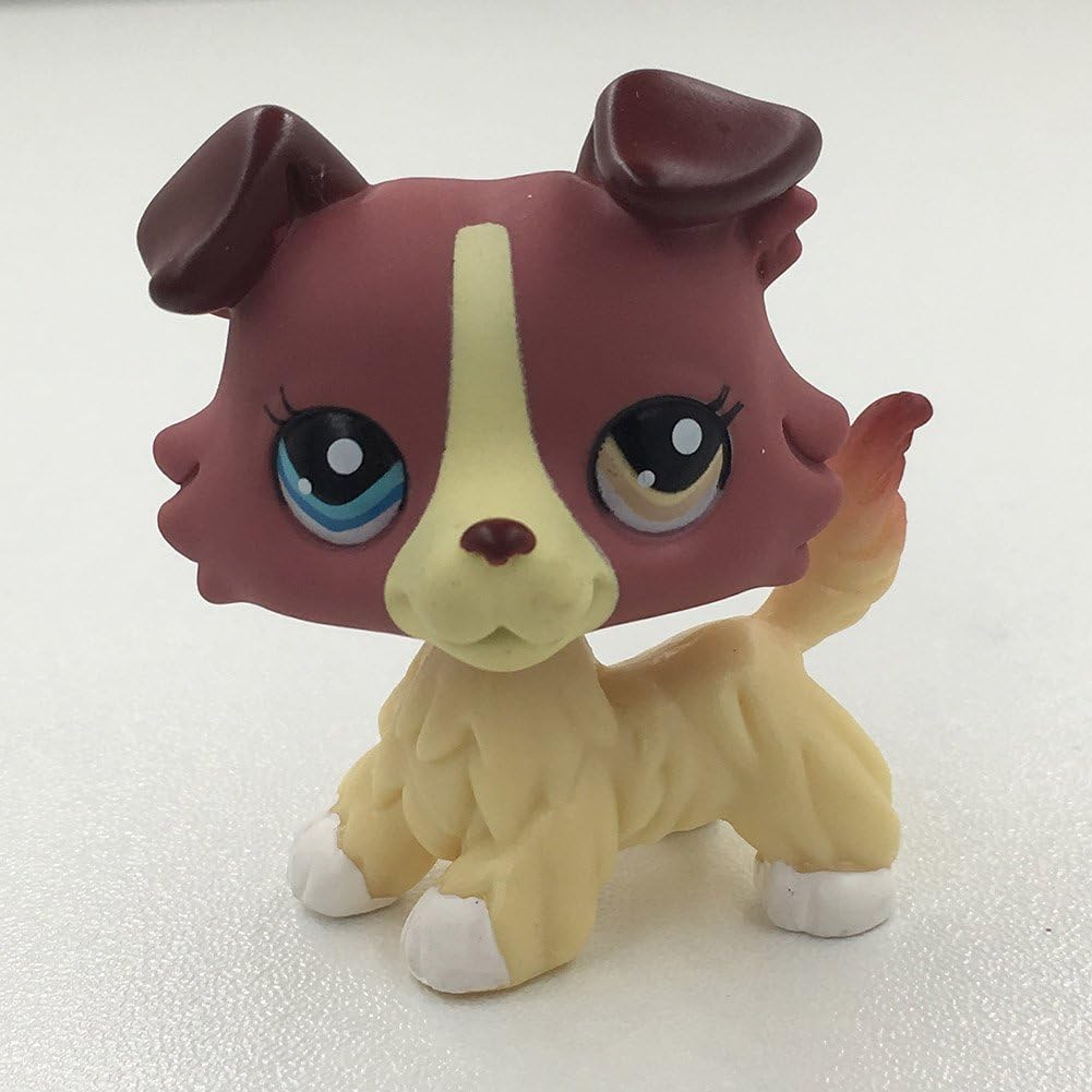 lps collie different eyes